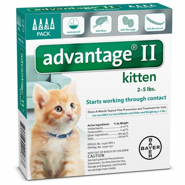 Picture Advantage II for fleas on kittens