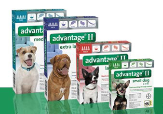 Picture Advantage II for dogs